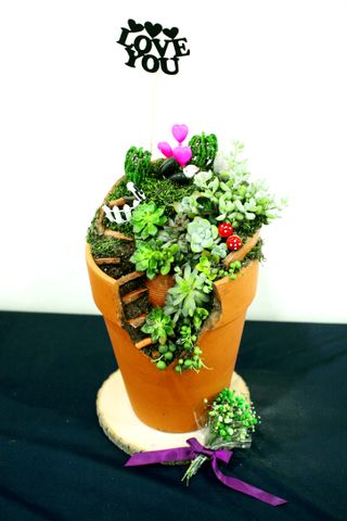 다육아트님의 기타작물 · 병해충상담 작성글 사진