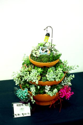 다육아트님의 기타작물 · 병해충상담 작성글 사진