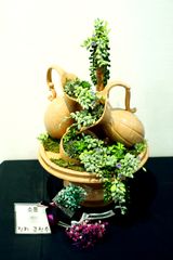 팜모닝 기타작물·병해충상담 게시글 이미지