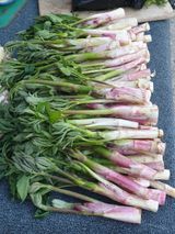 팜모닝 자유주제·사진전 게시글 이미지