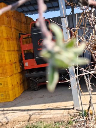 아침엔사과농원님의 사과 · 일상 작성글 사진