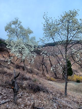 알 수 없음님의 기타작물 · 자유게시판 작성글 사진