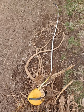 알 수 없음님의 기타작물 · 자유게시판 작성글 사진