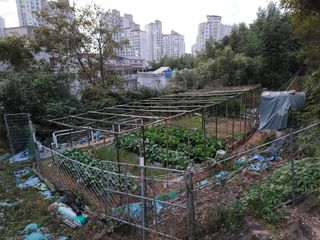 미날기미(김원영)님의 자유주제 · 사진전 작성글 사진