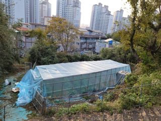 미날기미(김원영)님의 자유주제 · 사진전 작성글 사진