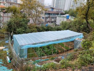 미날기미(김원영)님의 자유주제 · 사진전 작성글 사진