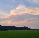 팜모닝 자유주제·사진전 게시글 이미지