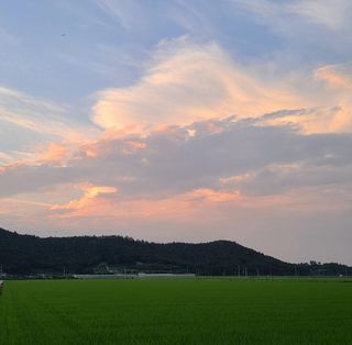 라우미님의 자유주제 · 사진전 작성글 사진