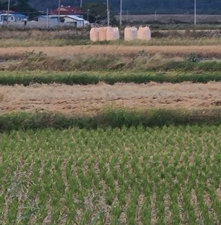 라우미님의 자유주제 · 사진전 작성글 사진