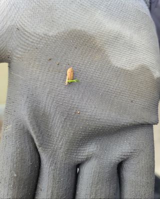 라우미님의 자유주제 · 사진전 작성글 사진