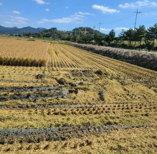 라우미님의 자유주제 · 사진전 작성글 사진