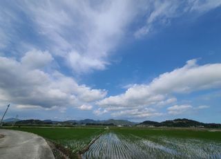 라우미님의 자유주제 · 사진전 작성글 사진