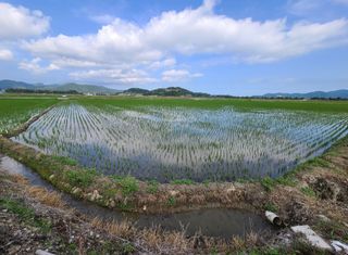 라우미님의 자유주제 · 사진전 작성글 사진