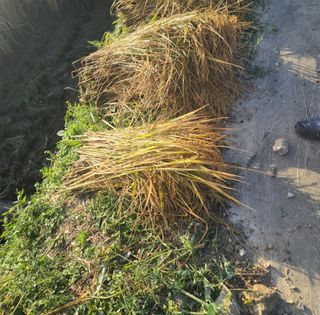 라우미님의 자유주제 · 사진전 작성글 사진