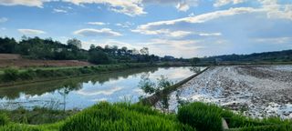 변은심님의 자유주제 · 사진전 작성글 사진