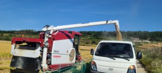 변은심님의 자유주제 · 사진전 작성글 사진