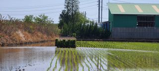 변은심님의 자유주제 · 사진전 작성글 사진