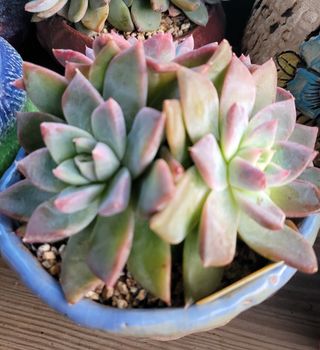 강화댁님의 자유주제 · 자유게시판 작성글 사진