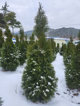 팜모닝 자유주제·칭찬해요 게시글 이미지