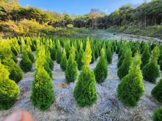 진도힐링농원님의 자유주제 · 칭찬해요 작성글 사진