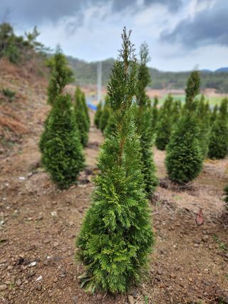 진도힐링농원님의 자유주제 · 칭찬해요 작성글 사진