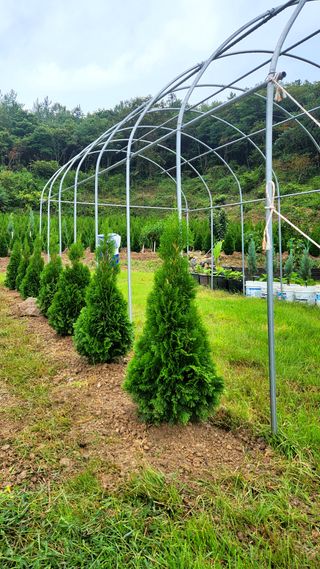 진도힐링농원님의 자유주제 · 칭찬해요 작성글 사진