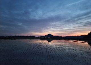 라우미님의 자유주제 · 사진전 작성글 사진