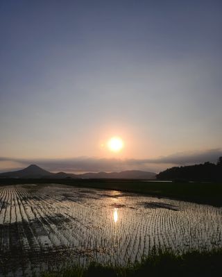 라우미님의 자유주제 · 사진전 작성글 사진