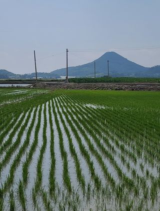라우미님의 자유주제 · 사진전 작성글 사진