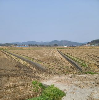 라우미님의 자유주제 · 사진전 작성글 사진