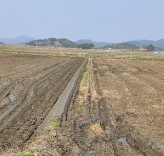 라우미님의 자유주제 · 사진전 작성글 사진