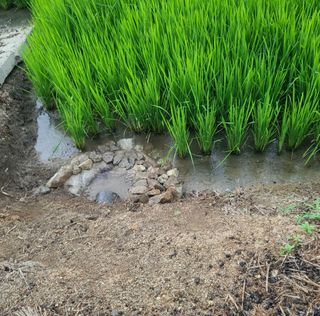 라우미님의 자유주제 · 사진전 작성글 사진