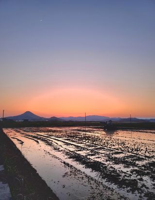 라우미님의 자유주제 · 사진전 작성글 사진