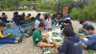 농민님의 오이 · 자유게시판 작성글 사진