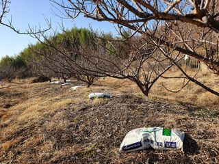 매실향기차향기님의 자유주제 · 사진전 작성글 사진