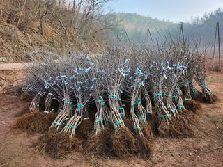 갈마골님의 자유주제 · 사진전 작성글 사진