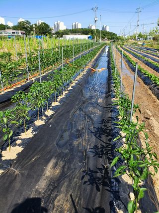장순영님의 자유주제 · 사진전 작성글 사진