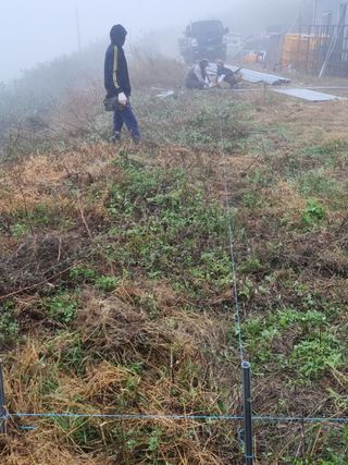 한희숙님의 하우스정보 · 시공사례•후기 작성글 사진