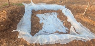 양성근님의 기타작물 · 자유게시판 작성글 사진