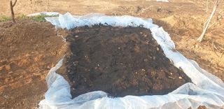 양성근님의 기타작물 · 자유게시판 작성글 사진