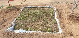 양성근님의 기타작물 · 자유게시판 작성글 사진