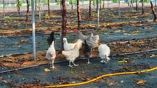 김홍제님의 자유주제 · 사진전 작성글 사진