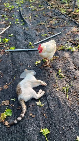 김홍제님의 자유주제 · 사진전 작성글 사진