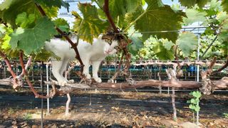 김홍제님의 자유주제 · 사진전 작성글 사진