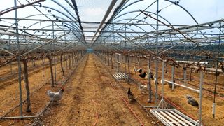 김홍제님의 자유주제 · 사진전 작성글 사진