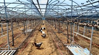 김홍제님의 자유주제 · 사진전 작성글 사진