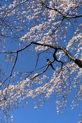 팜모닝 자유주제·자유게시판 게시글 이미지