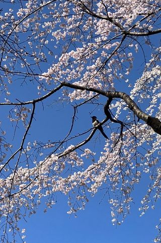 test2022101907님의 자유주제 · 자유게시판 작성글 사진