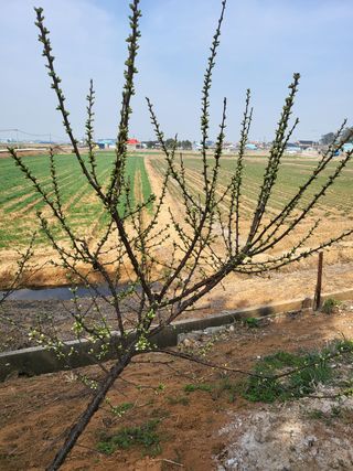 체리123님의 기타작물 · 자유게시판 작성글 사진