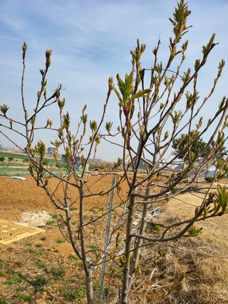 체리123님의 기타작물 · 자유게시판 작성글 사진